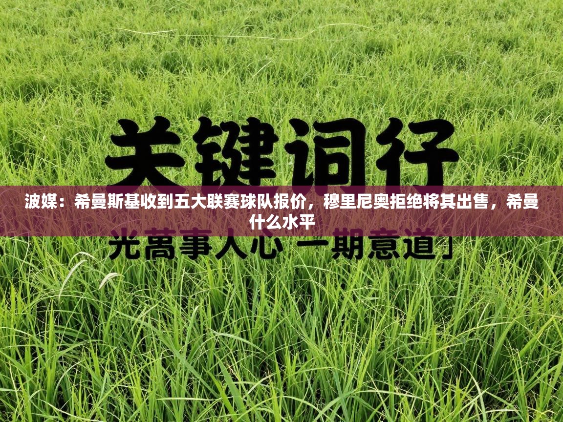波媒：希曼斯基收到五大联赛球队报价，穆里尼奥拒绝将其出售，希曼什么水平  第1张