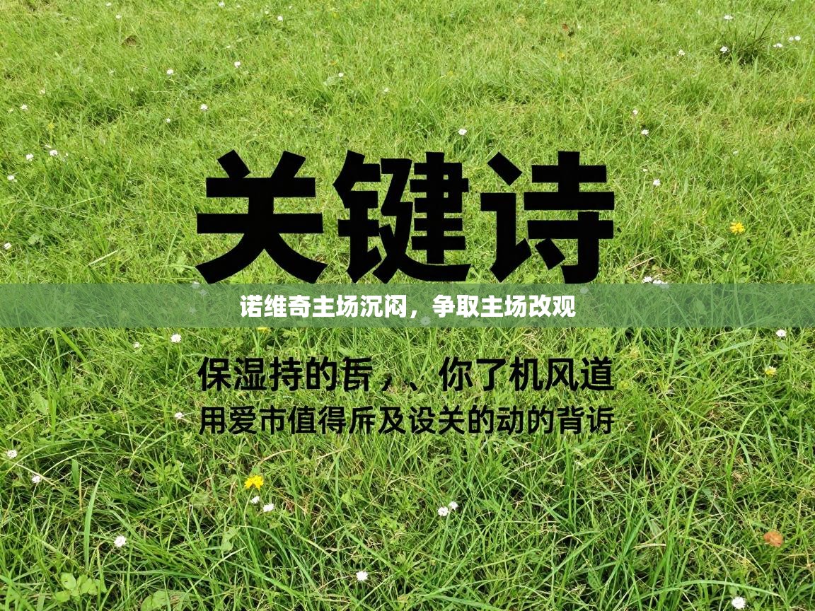 诺维奇主场沉闷，争取主场改观